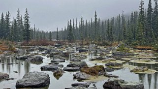 Consolation Lakes - Parc National de Banff Canada 2023